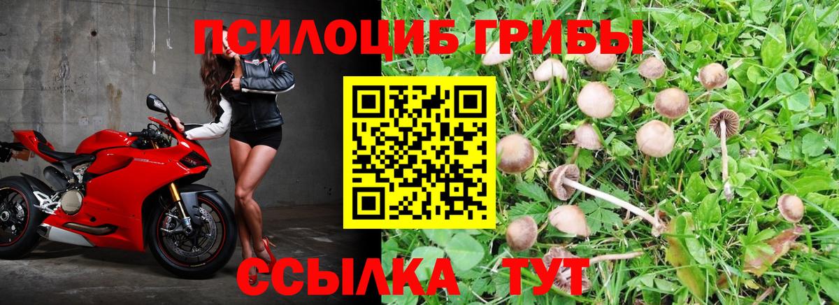 Новоуральск  Галлюциногенные грибы мухоморы  Вход с VPN  Псилоцибиновые грибы мухоморы 